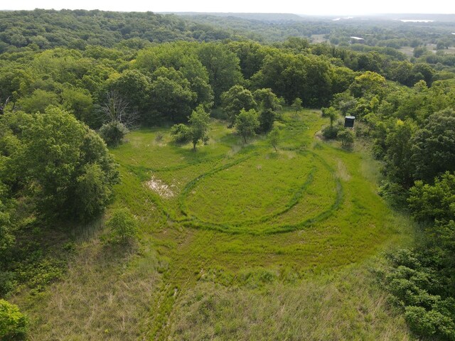 618 Princeton Rd, Depue, IL 61322 - aerial view of a heavily wooded area
