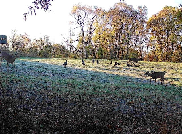 618 Princeton Rd, Depue, IL 61322 - view of yard with a view of countryside