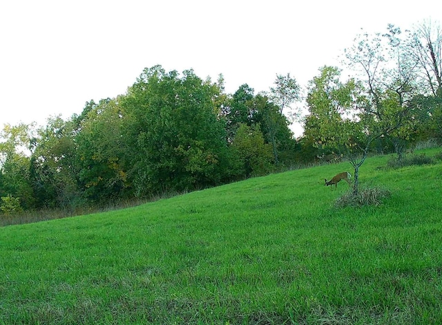618 Princeton Rd, Depue, IL 61322 - view of green lawn with a rural view