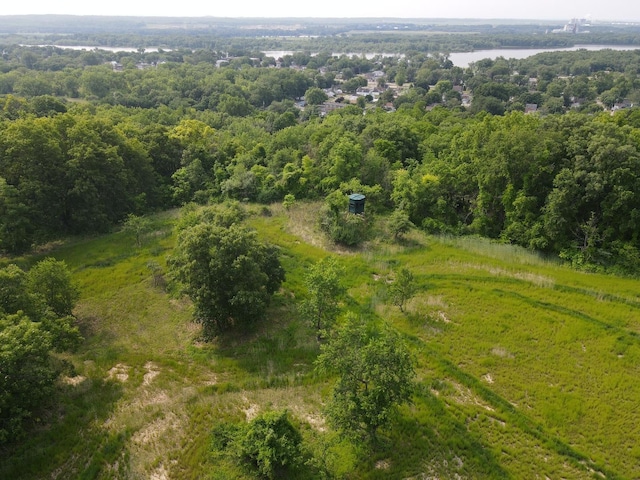 618 Princeton Rd, Depue, IL 61322 - bird's eye view