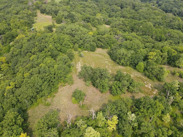 618 Princeton Rd, Depue, IL 61322 - drone / aerial view of a forest