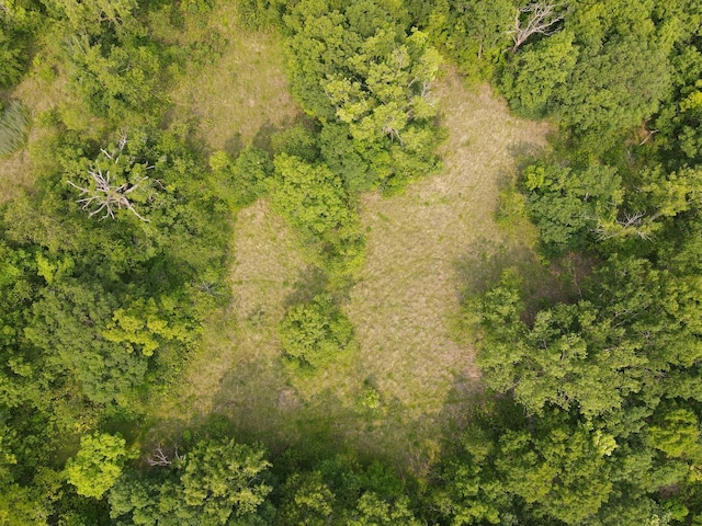 618 Princeton Rd, Depue, IL 61322 - bird's eye view