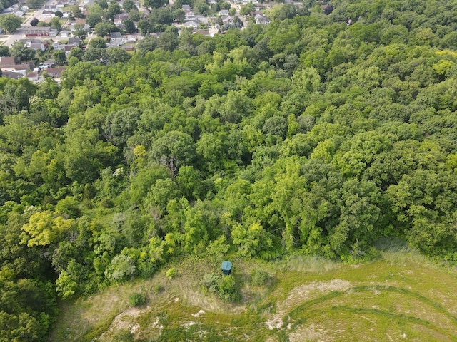 618 Princeton Rd, Depue, IL 61322 - aerial view of a forest