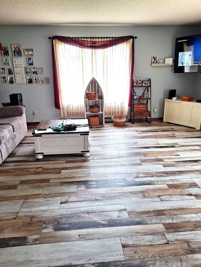 living room featuring a textured ceiling, wood finished floors, and plenty of natural light