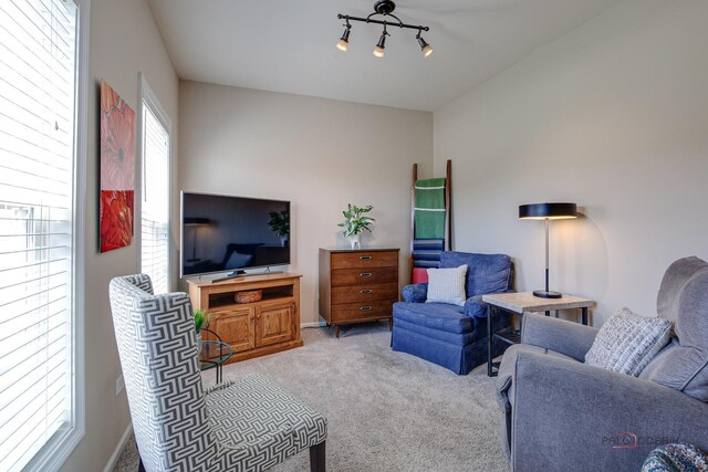 living area featuring carpet flooring