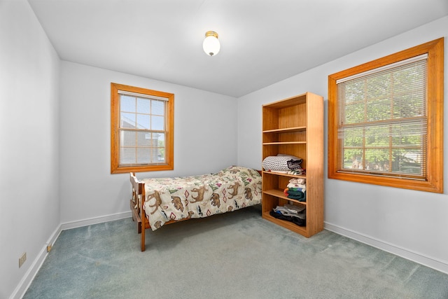 2500 S 7th Ave, North Riverside, IL 60546 - bedroom with carpet and baseboards