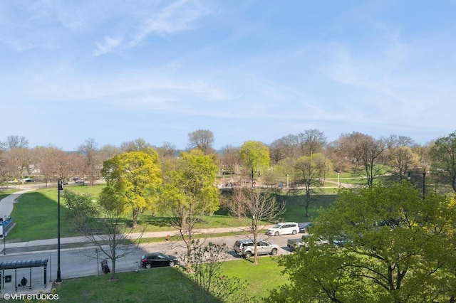 view of property's community featuring a lawn