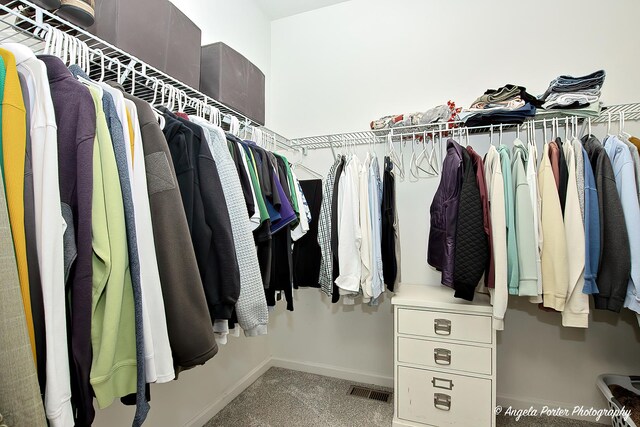 walk in closet with visible vents and carpet