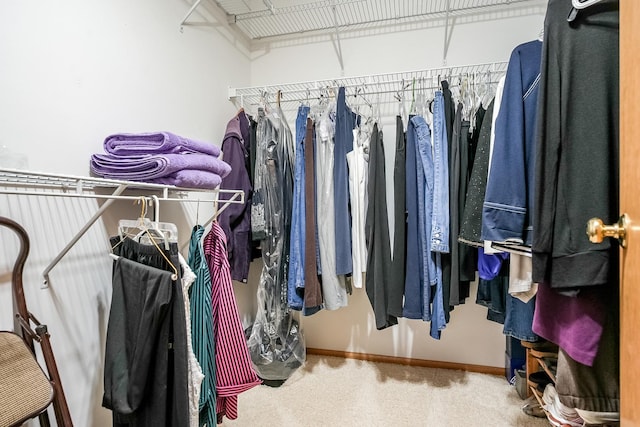 1103 Shingle Oak Ln Unit 3A, Rockford, IL 61107 - spacious closet with carpet floors