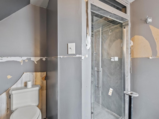 bathroom featuring toilet and a shower stall