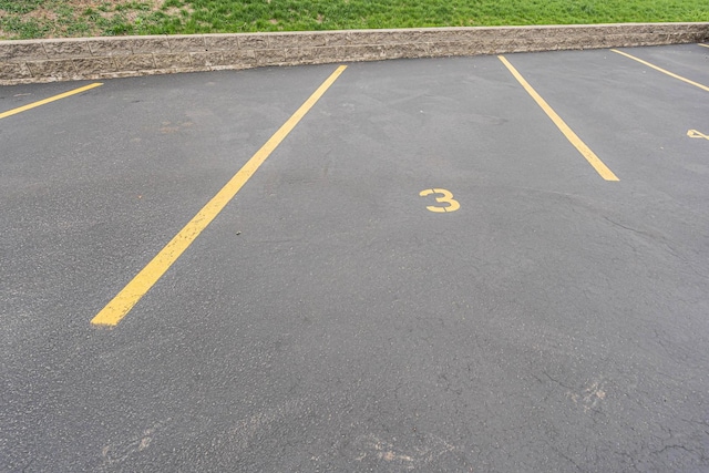 245 N Smith St Unit 2W, Palatine, IL 60067 - view of uncovered parking lot