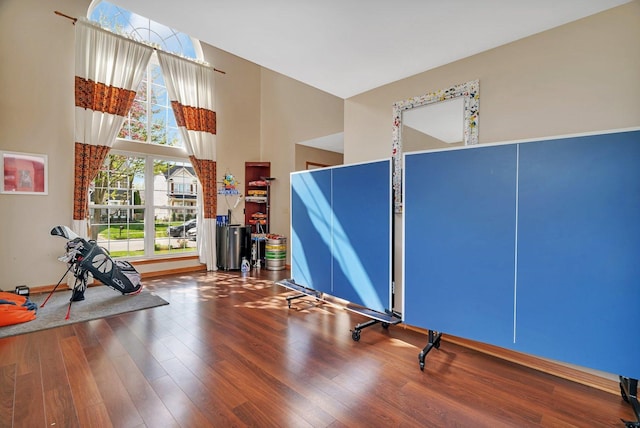 185 Wedgeport Cir, Romeoville, IL 60446 - playroom with baseboards, wood finished floors, and a towering ceiling