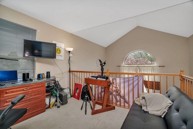 185 Wedgeport Cir, Romeoville, IL 60446 - carpeted office featuring lofted ceiling