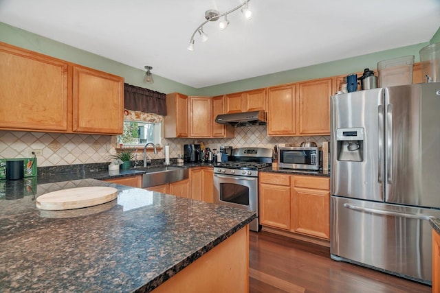 185 Wedgeport Cir, Romeoville, IL 60446 - kitchen featuring a sink, dark wood finished floors, under cabinet range hood, backsplash, and appliances with stainless steel finishes