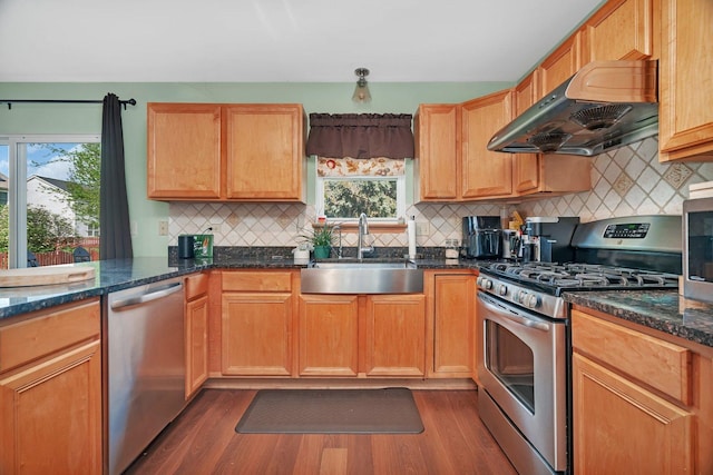 185 Wedgeport Cir, Romeoville, IL 60446 - kitchen featuring a sink, dark wood-type flooring, under cabinet range hood, decorative backsplash, and appliances with stainless steel finishes