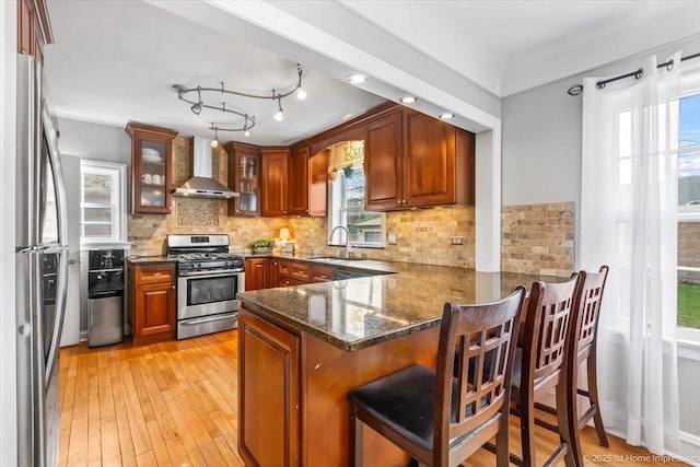 kitchen with appliances with stainless steel finishes, a sink, wall chimney exhaust hood, a peninsula, and a wealth of natural light
