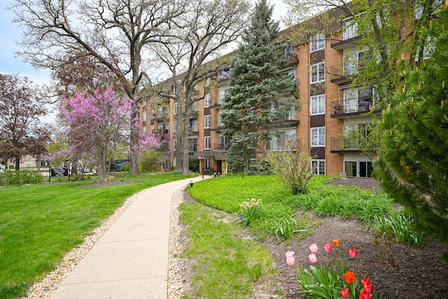 view of community featuring a yard