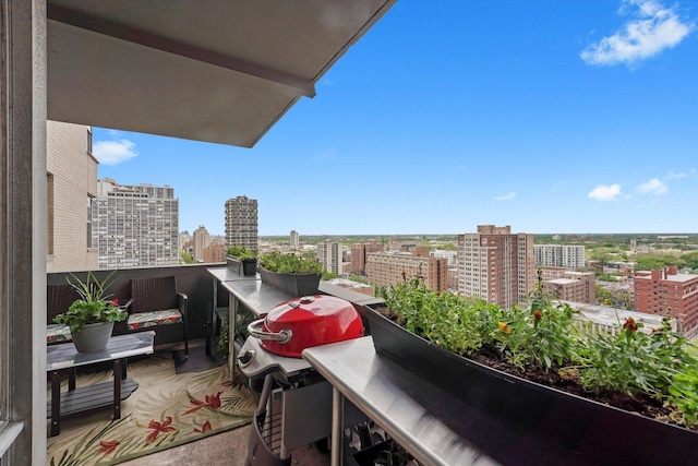 6301 N Sheridan Rd Unit 20J, Chicago, IL 60660 - balcony with a city view