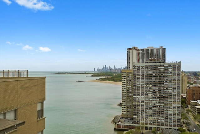 6301 N Sheridan Rd Unit 20J, Chicago, IL 60660 - water view featuring nearby urban area