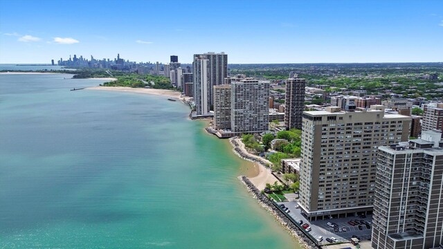 6301 N Sheridan Rd Unit 20J, Chicago, IL 60660 - aerial view of skyline and expansive beach
