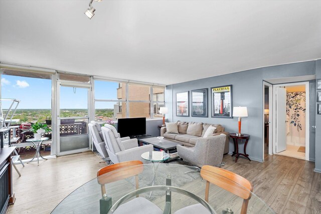 6301 N Sheridan Rd Unit 20J, Chicago, IL 60660 - living room with light wood finished floors and baseboards