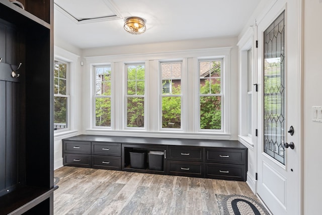 mudroom featuring light wood-style floors