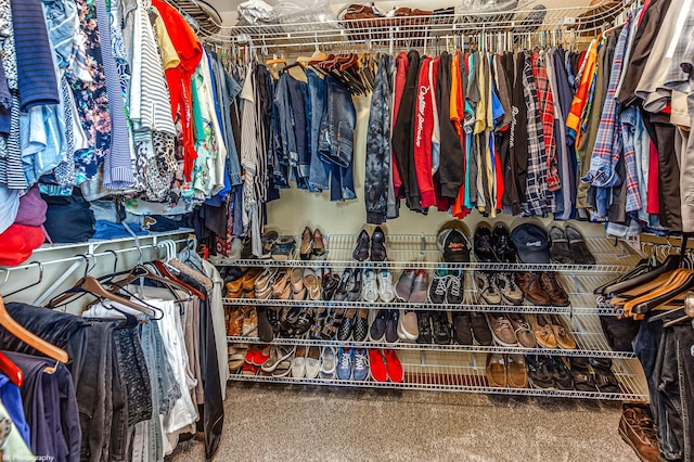 12941 Grande Poplar Cir, Plainfield, IL 60585 - spacious closet featuring carpet flooring