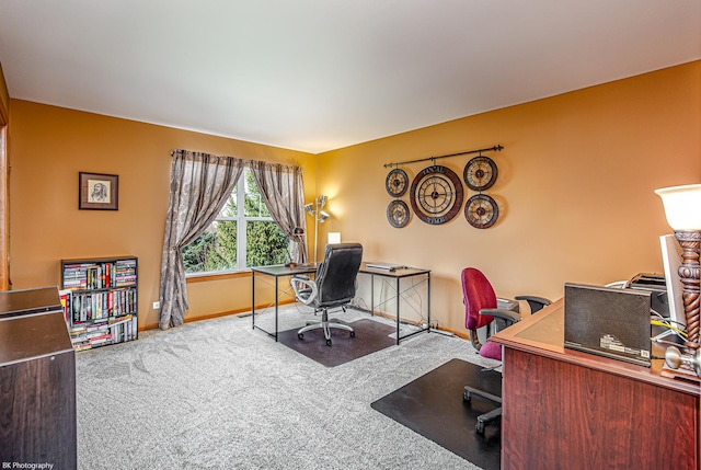 12941 Grande Poplar Cir, Plainfield, IL 60585 - carpeted office featuring baseboards
