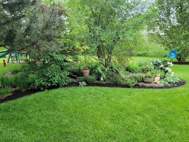 12941 Grande Poplar Cir, Plainfield, IL 60585 - view of yard