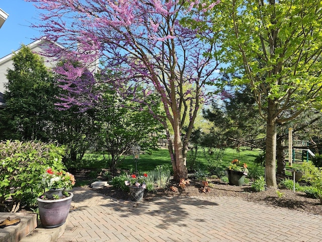 12941 Grande Poplar Cir, Plainfield, IL 60585 - view of patio / terrace