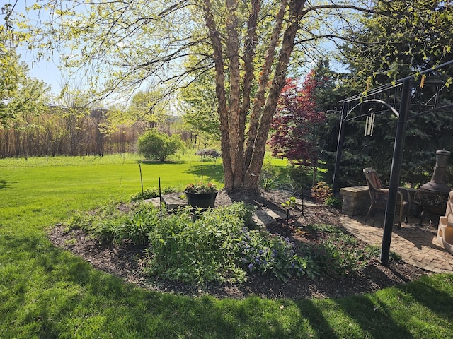 12941 Grande Poplar Cir, Plainfield, IL 60585 - view of yard featuring a patio area