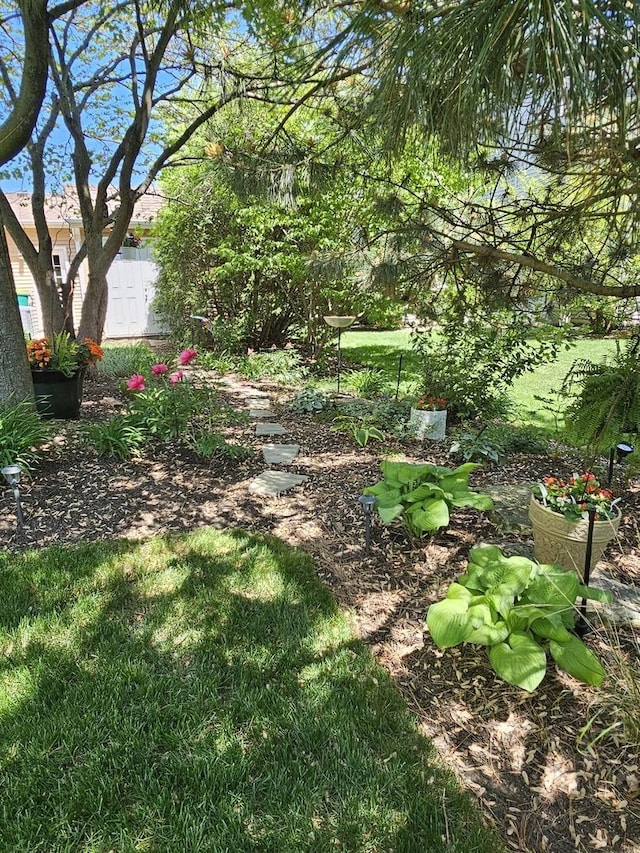 12941 Grande Poplar Cir, Plainfield, IL 60585 - view of yard