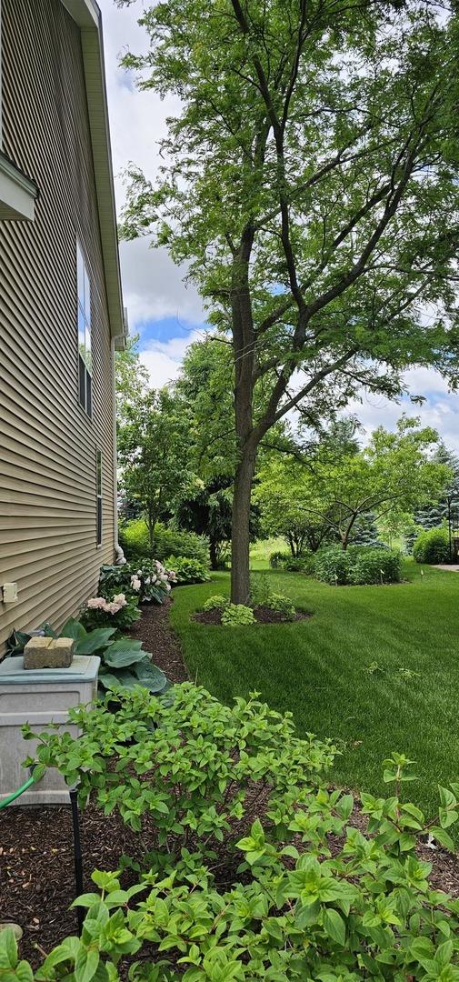 12941 Grande Poplar Cir, Plainfield, IL 60585 - view of yard
