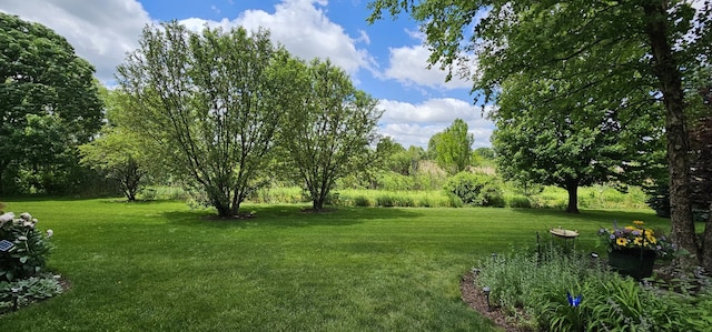 12941 Grande Poplar Cir, Plainfield, IL 60585 - view of yard