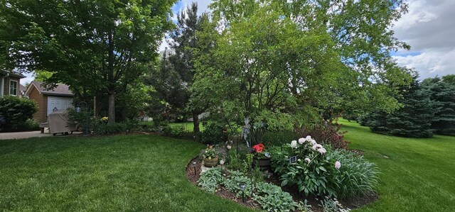 12941 Grande Poplar Cir, Plainfield, IL 60585 - view of yard