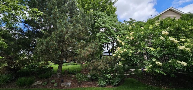 12941 Grande Poplar Cir, Plainfield, IL 60585 - view of local wilderness