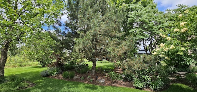 12941 Grande Poplar Cir, Plainfield, IL 60585 - view of yard