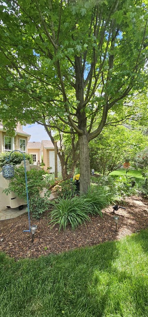 12941 Grande Poplar Cir, Plainfield, IL 60585 - view of yard