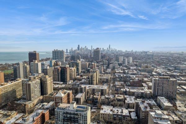 454 W Barry Ave Unit 1, Chicago, IL 60657 - city view featuring a nearby body of water
