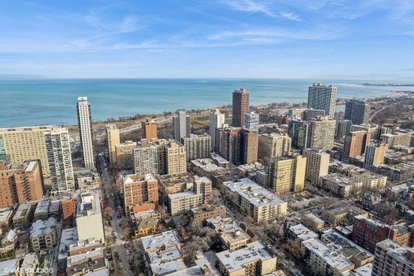454 W Barry Ave Unit 1, Chicago, IL 60657 - view of city featuring a large body of water