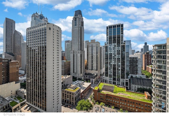 1030 N State St Unit 21K, Chicago, IL 60610 - city view