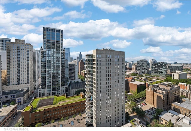 1030 N State St Unit 21K, Chicago, IL 60610 - city view