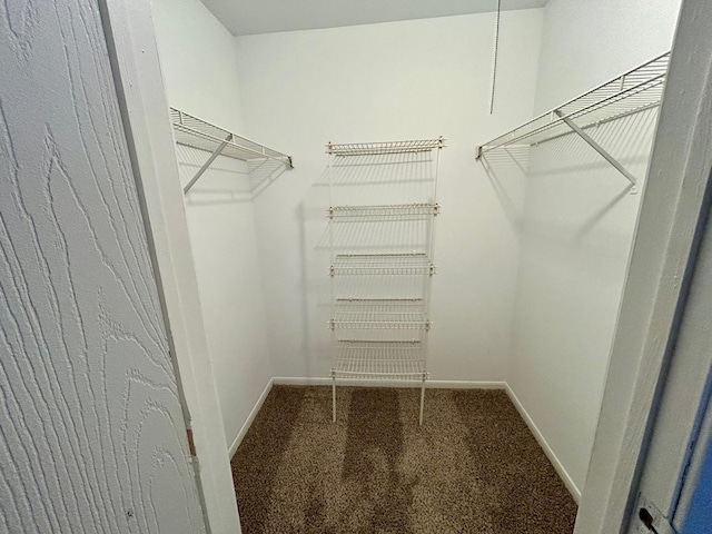 1915 N Hicks Rd Unit 105, Palatine, IL 60074 - walk in closet featuring carpet