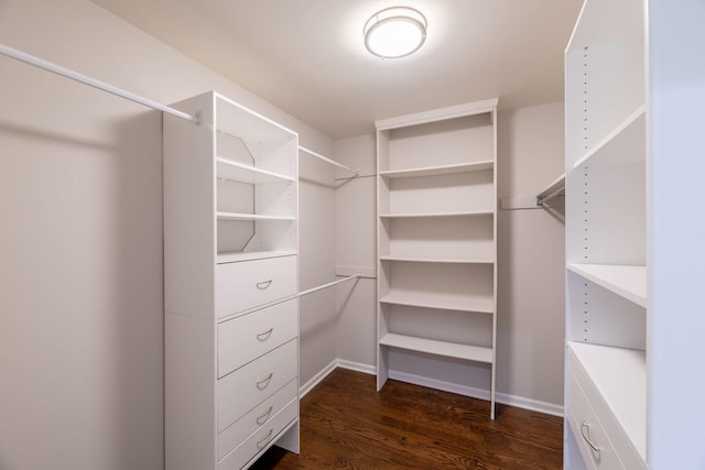 walk in closet featuring dark wood-style flooring