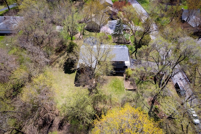 drone / aerial view