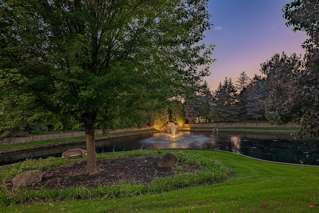 113 Carmela Ct, Bloomingdale, IL 60108 - water view