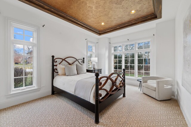 26W051 W Mohican Dr, Wheaton, IL 60189 - bedroom featuring baseboards, light carpet, and a raised ceiling