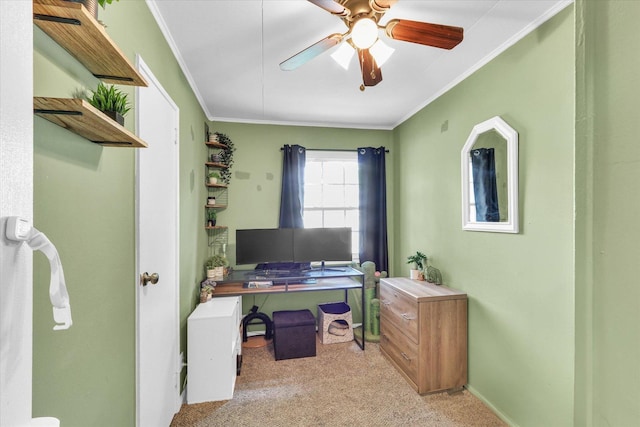1304 Briarcliff Dr, Urbana, IL 61801 - home office with light carpet, ornamental molding, ceiling fan, and baseboards