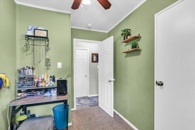 1304 Briarcliff Dr, Urbana, IL 61801 - carpeted office with ornamental molding, ceiling fan, and baseboards