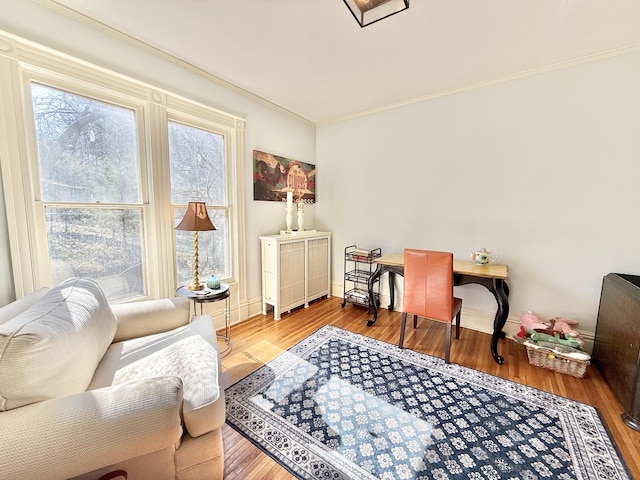 office featuring baseboards, wood finished floors, and crown molding